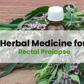 Herbal Medicine for Rectal Prolapse