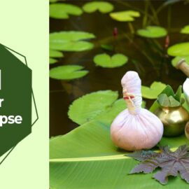 What Do We Know About Herbal Medicine For Rectal Prolapse? herbal medicine for rectal prolapse