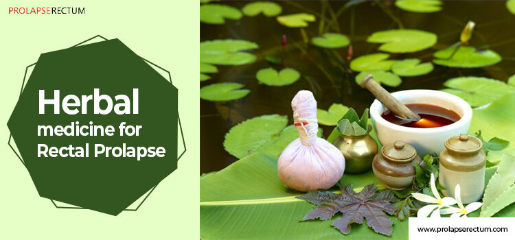 What Do We Know About Herbal Medicine For Rectal Prolapse? herbal medicine for rectal prolapse