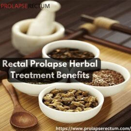 Rectal Prolapse Herbal Treatment Benefits Rectal Prolapse Herbal Treatment Benefits