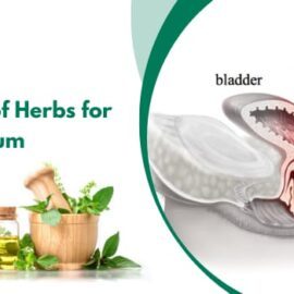 Revealing the Effectiveness of Herbs for Prolapse Rectum Treatment Revealing the Effectiveness of Herbs for Prolapse Rectum Treatment